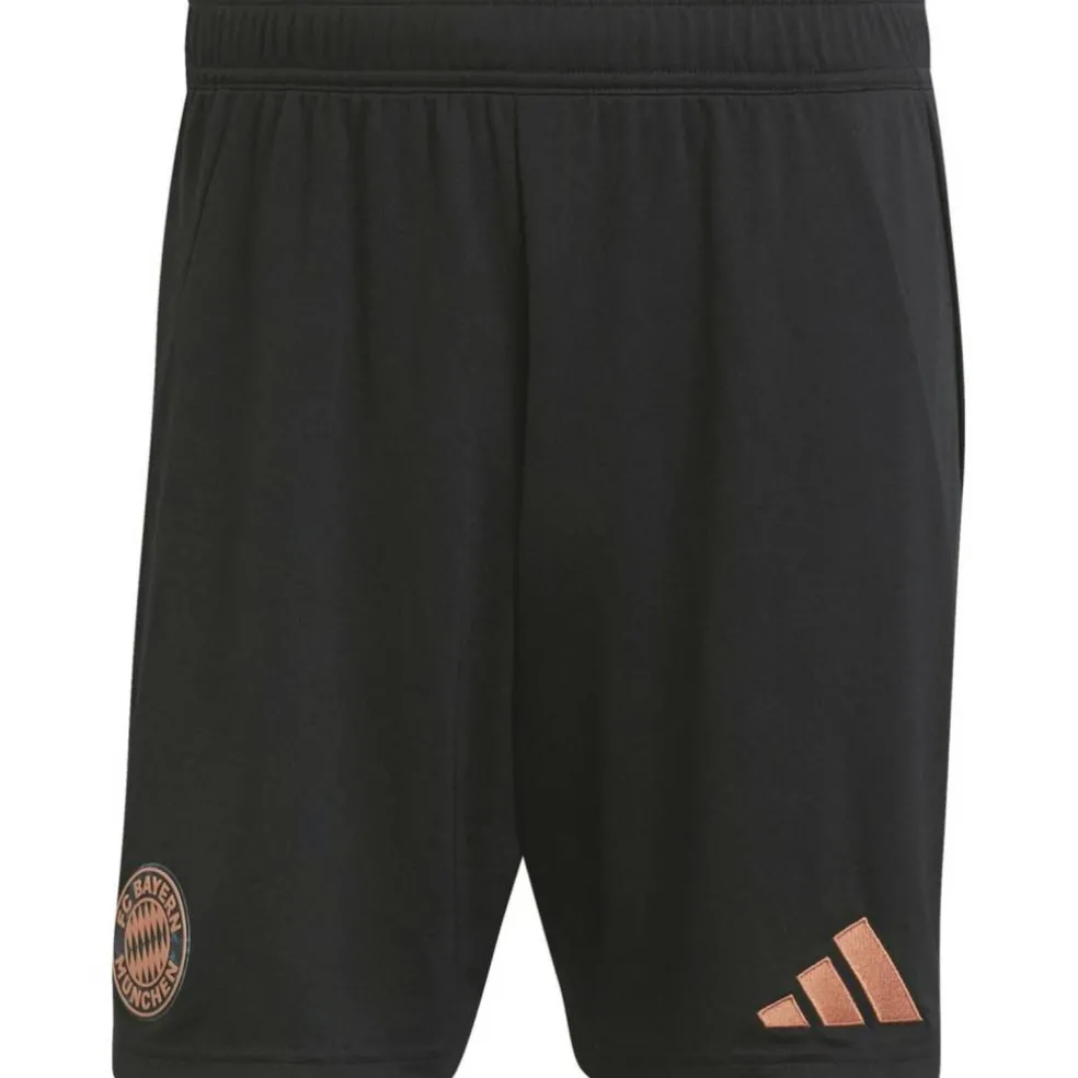 FC Bayern München 24/25 Auswärtsshorts Herren Teamhose