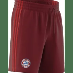 FC Bayern München DNA Herren Fußballhose