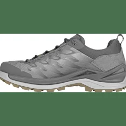 Ferrox GTX Low Herren Multifunktionsschuhe