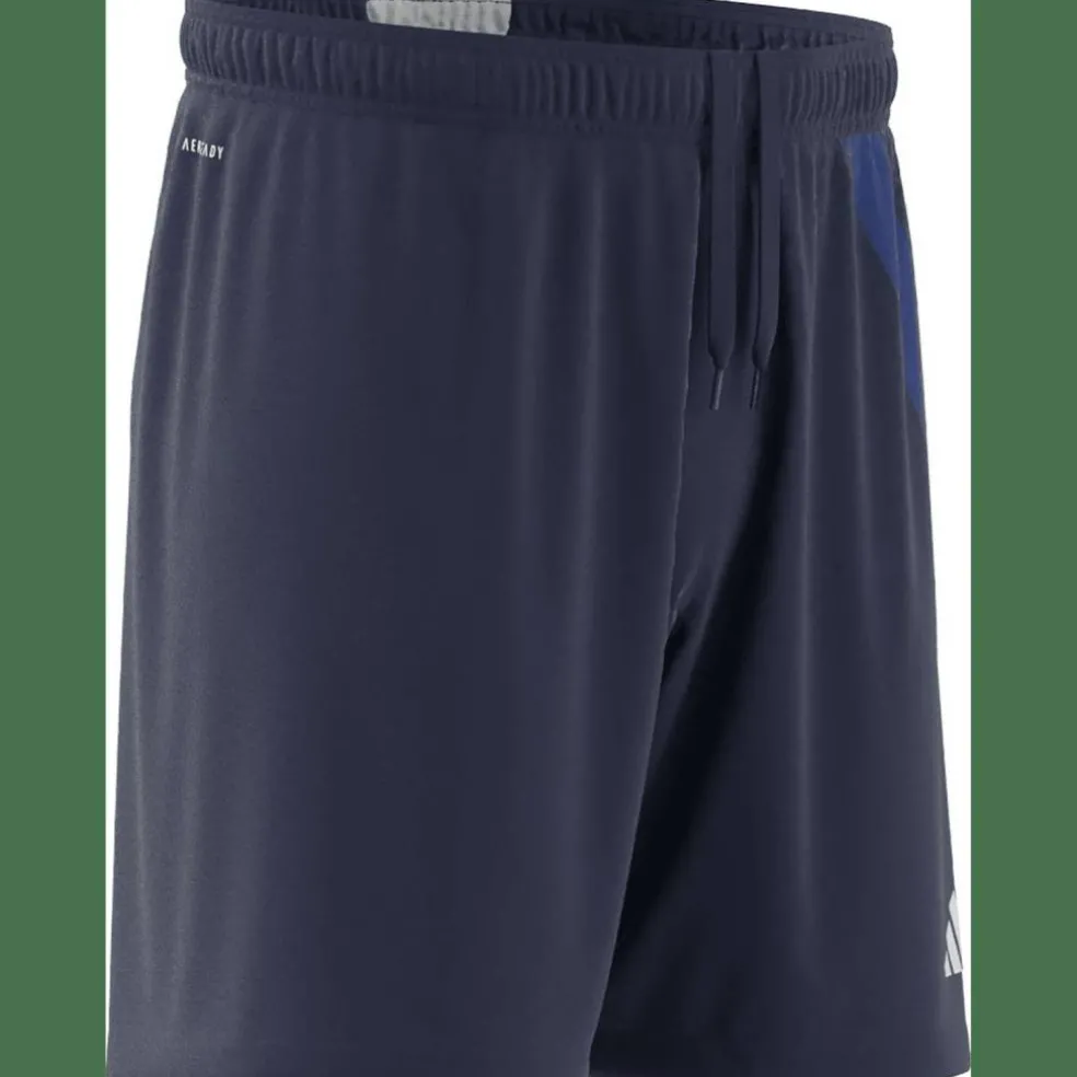 Fortore 23 Shorts Herren Shorts