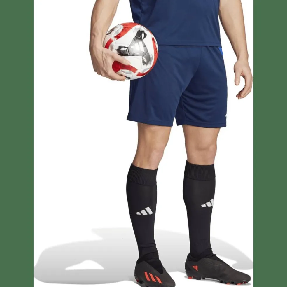 Fortore 23 Shorts Herren Shorts