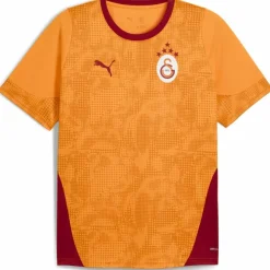 Galatasary Istanbul Training Herren T-Shirt