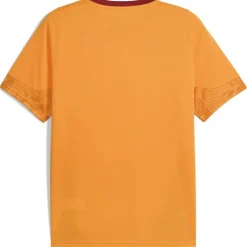 Galatasary Istanbul Training Herren T-Shirt