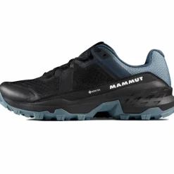 Girun II Low GTX Herren Multifunktionsschuhe