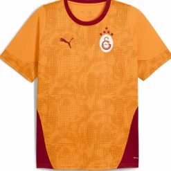 GSK Training with Star Herren T-Shirt