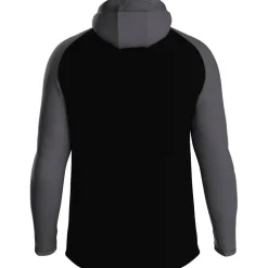 Iconic Unisex Kapuzensweater