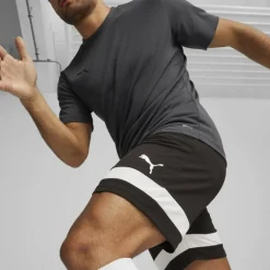 individualRISE Herren Shorts