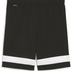 individualRISE Herren Shorts