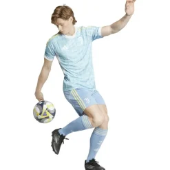 Juventus Turin 25/26 Away Herren Teamhose