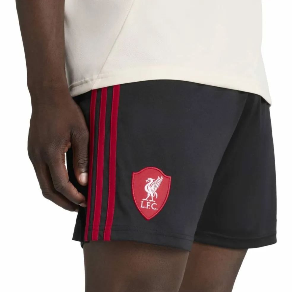Liverpool FC 25/26 Away Herren Teamhose