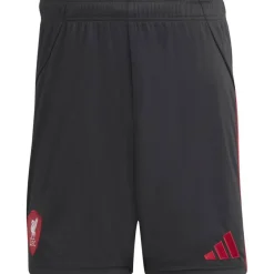 Liverpool FC 25/26 Away Herren Teamhose