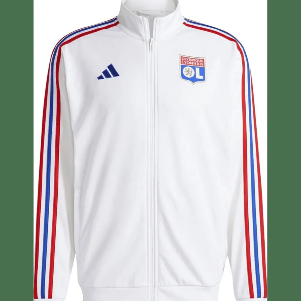 Olympique Lyon DNA Herren Sweatshirt