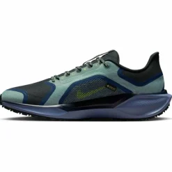 Pegasus 41 GTX Waterproof Road Herren Laufschuhe