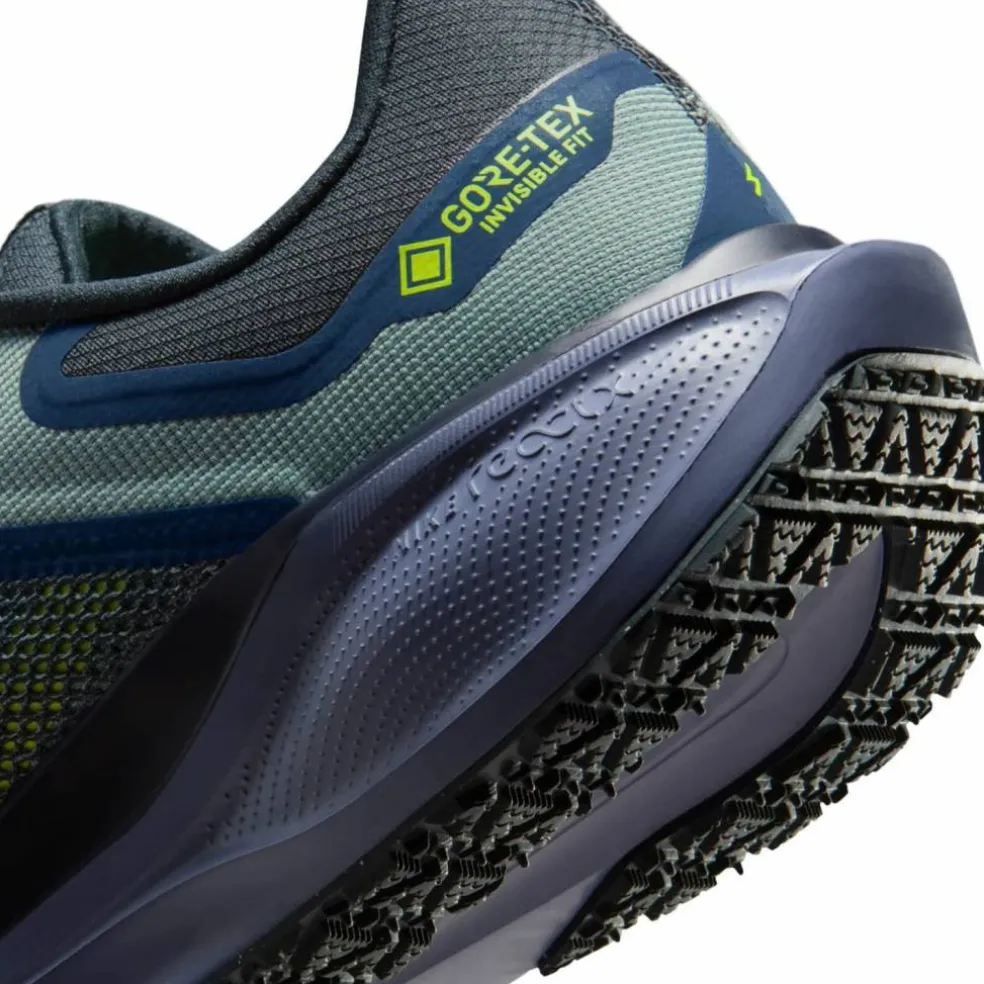 Pegasus 41 GTX Waterproof Road Herren Laufschuhe