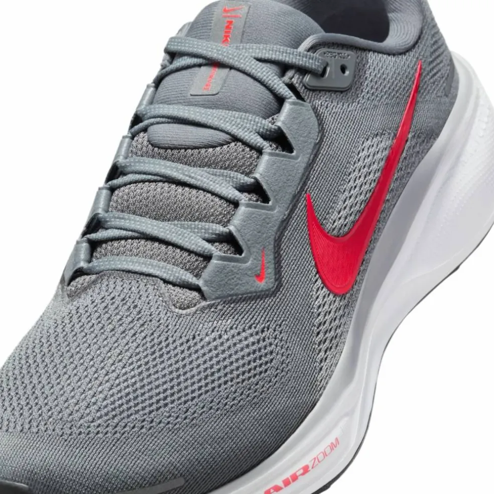 Pegasus 41 Road Herren Laufschuhe