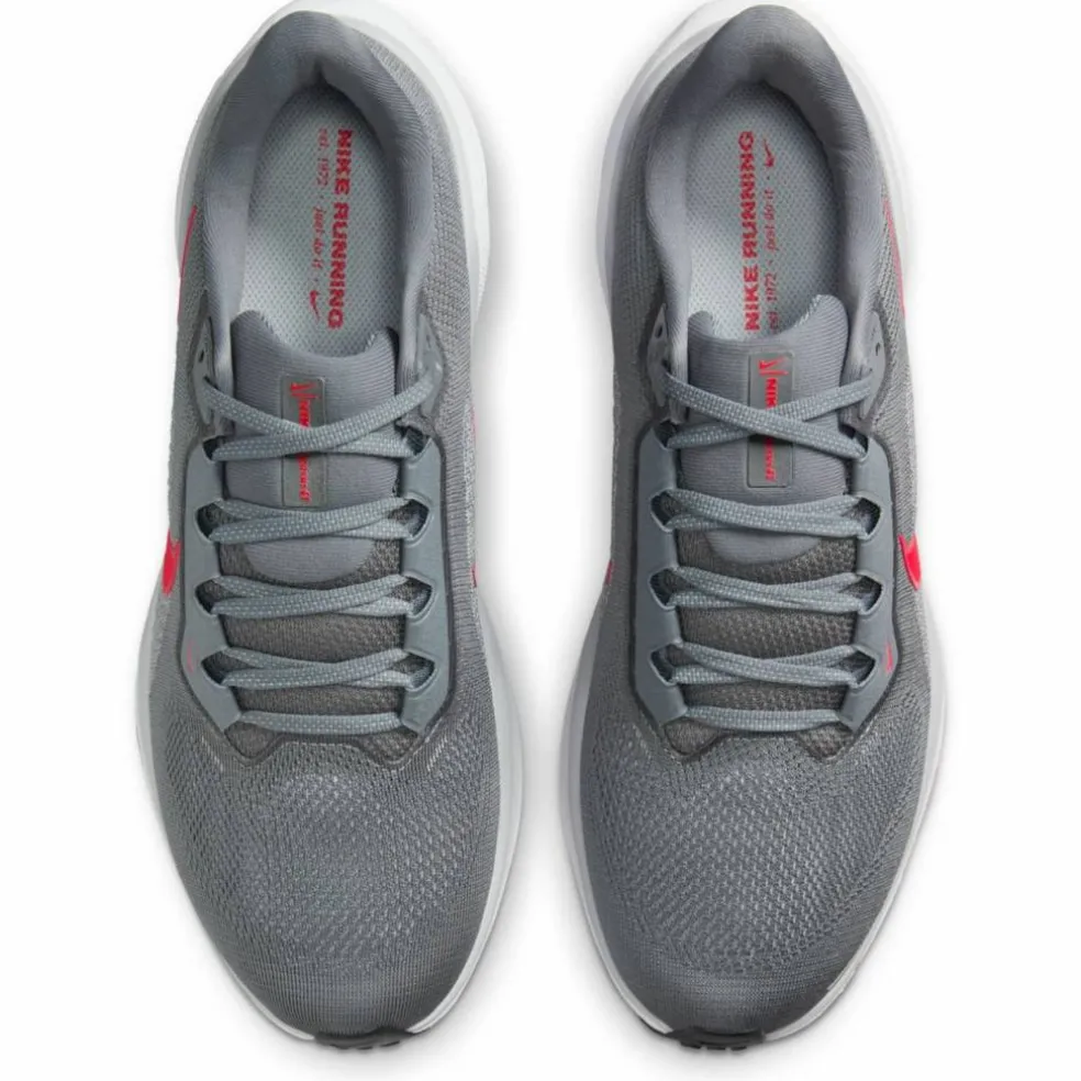 Pegasus 41 Road Herren Laufschuhe