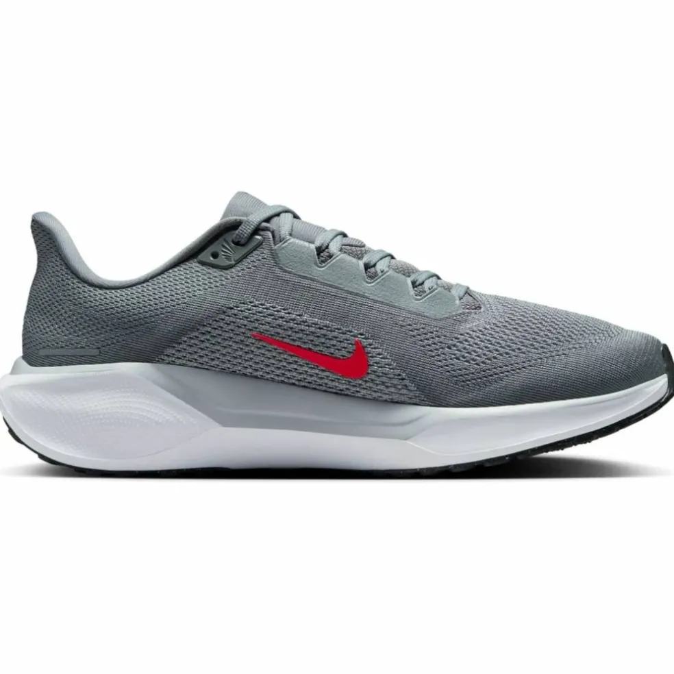 Pegasus 41 Road Herren Laufschuhe