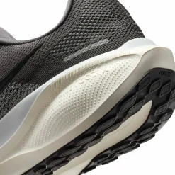 Pegasus 41 Road Herren Laufschuhe
