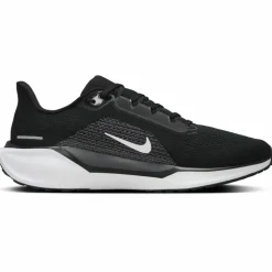 Pegasus 41 Road Herren Laufschuhe