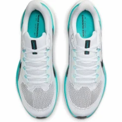 Pegasus 41 Road Herren Laufschuhe