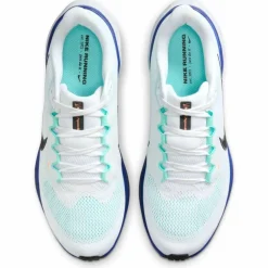 Pegasus 41 Road Herren Laufschuhe