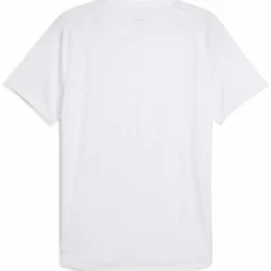 RUN Velocity (Poly) Herren T-Shirt
