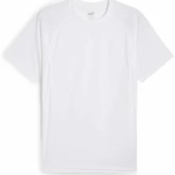 RUN Velocity (Poly) Herren T-Shirt