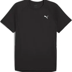 RUN Velocity (Poly) Herren T-Shirt
