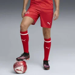 Schweiz Replica Herren Shorts