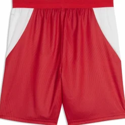 Schweiz Replica Herren Shorts