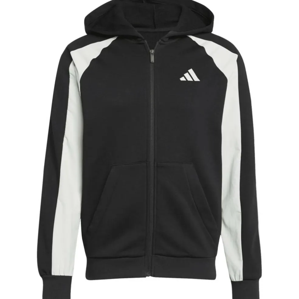 Seasonal Essentials Colorblock Herren Kapuzensweater