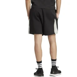 Seasonal Essentials Colorblock Herren Shorts