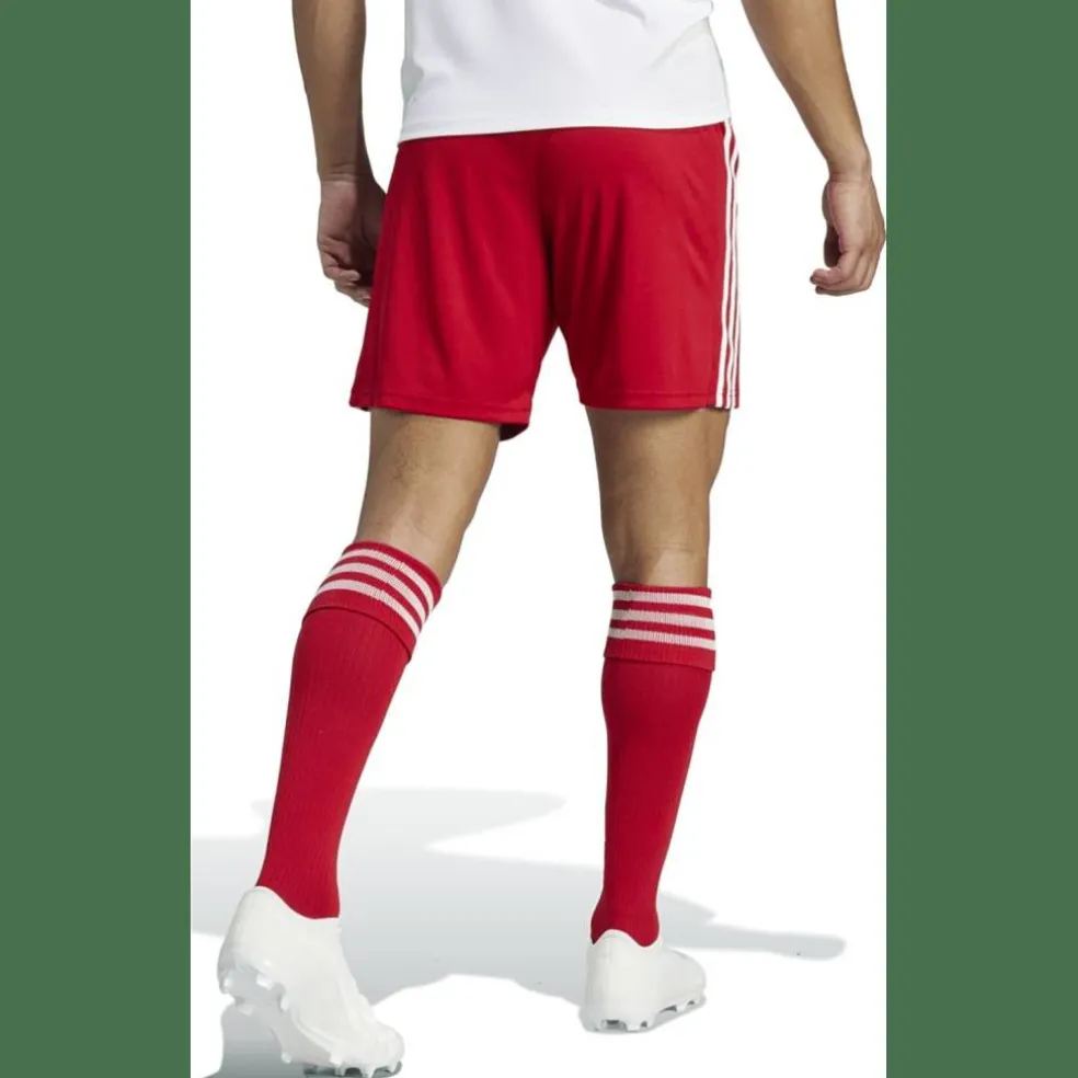 Squadra 21 Herren Shorts