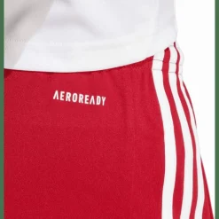 Squadra 21 Herren Shorts