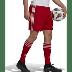 Squadra 21 Herren Shorts