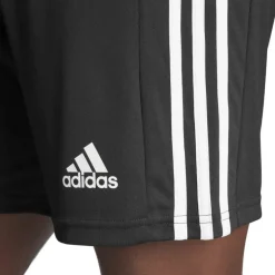 Squadra 21 Herren Shorts