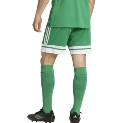 Squadra 25 Herren Shorts