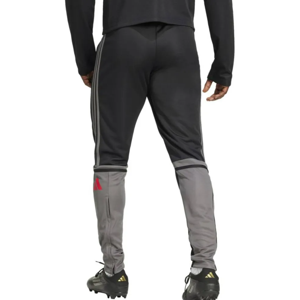 Squadra 25 Herren Trainingshose