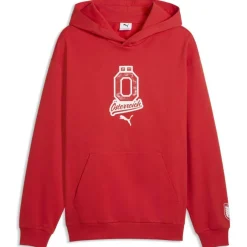 Österreich Ftblculture Relaxed Herren Kapuzensweater