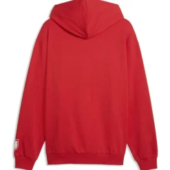 Österreich Ftblculture Relaxed Herren Kapuzensweater