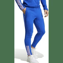 Team France Training Pant Herren Trainingshose