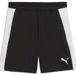 Teamfinal26 Training Herren Shorts