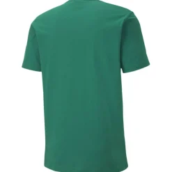 TeamGOAL 23 Casuals Tee Herren T-Shirt