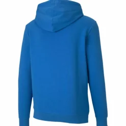 TeamGOAL 23 Causals Herren Kapuzensweater