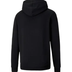 TeamGOAL 23 Causals Herren Kapuzensweater