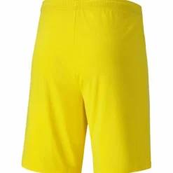 teamGOAL 23 knit Herren Shorts