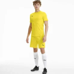 teamGOAL 23 knit Herren Shorts