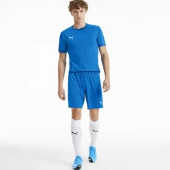 teamGOAL 23 knit Herren Shorts