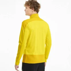 TeamGOAL 23 Training 1/4 Zip Top Herren Sweatshirt