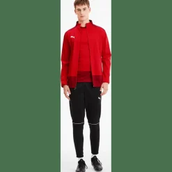 TeamGOAL 23 Training Herren Sweatshirt